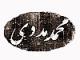 mohammad.madadi آواتار ها