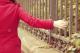 minamohammadirad آواتار ها