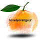 lovelyorange.ir آواتار ها